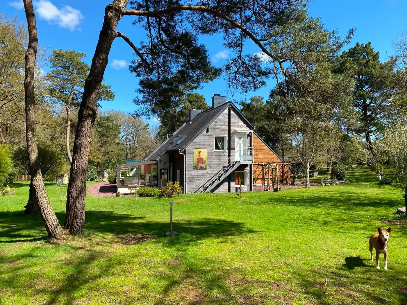 La forêt de Brocéliande, autour du Bois des Elfes